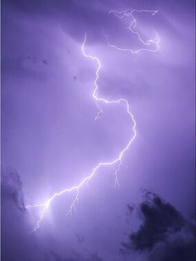 Meet your Posher, Kayleigh